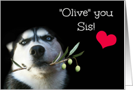 Happy Birthday Sis, Cute and Funny with Dog and Olive Branch card