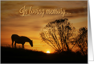 In Loving Memory and Deepest Sympathy for the Loss of Your Horse card
