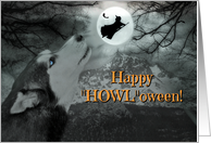 Happy Halloween Dog and Witch With Moon and Bats card
