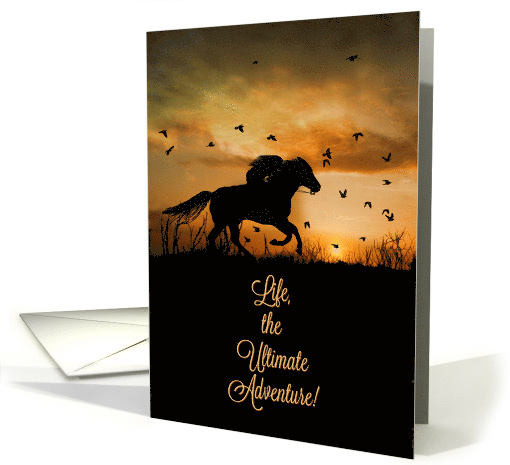 Happy Birthday Life is an Adventure Horse and Rider card (1486244)