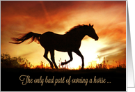 Beautiful Horse in the Sunrise Horse Sympathy, Saying Goodbye card