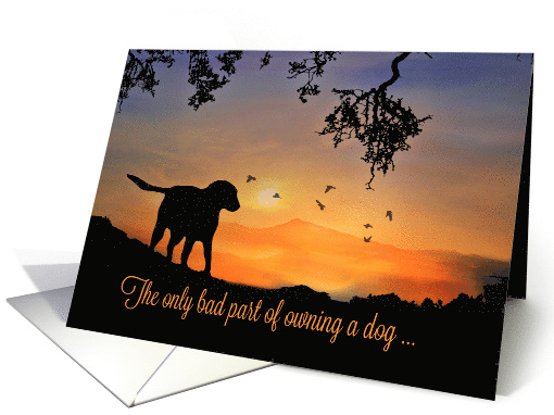 Dog in the Sunrise Dog Sympathy, Saying Goodbye card (1487562)