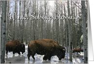 Native American Winter Solstice Blessings with Buffalo in the Snow card