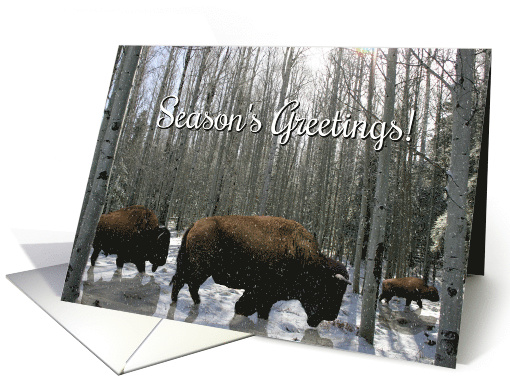 Native American Buffalo and Snow Season's Greetings card (1489506)