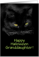 Happy Halloween Black Cat Granddaughter Customizable card