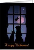 Happy Halloween Cat Dog and Witch card
