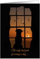 Loss of Dog Sympathy Dog in Window with Birds at Sunset card