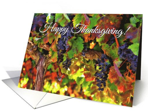 Wine Grape Vineyard Abundant Thanksgiving Fall Colors card (1496186)