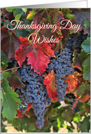 Wine Vineyard Grapes Autumn Colors Thanksgiving Day card