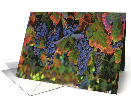 Wine Country Vineyard Happy Birthday Vintage card (1507098)