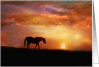 With Deepest Sympathy Horse and Sunset Nature Condolences card