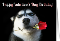 Super Cute Birthday on Valentine’s Day Dog and Rose card