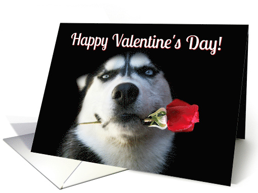 Cute and Fun Dog and Flower Happy Valentine's Day card (1509954)