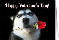 Cute and Fun Dog and Flower Happy Valentine’s Day card