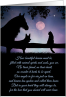 Pet Bereavement...