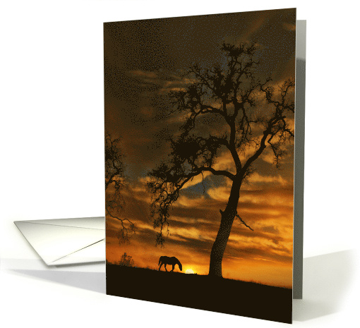 Horse Sympathy Sunset and Oak Tree Loss of Horse Condolence card