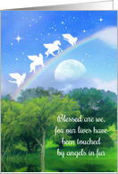 Pet Sympathy Angels Rainbow and Stars Condolences card