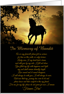 In Memory Custom Horse Name, Tribute to Horse, Horse Memorial Poem, card