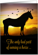 Horse Sympathy, Loss of Horse, Condolences. Horse Veterinarian card