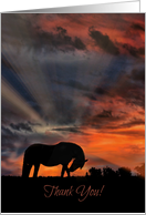 Beautiful Horse Thank You, Thanks You Made My Day, Sunrise Thank You card