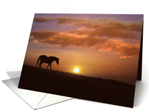 Horse Blank Inside, Horse Notecards, Fine Art... (1529104)