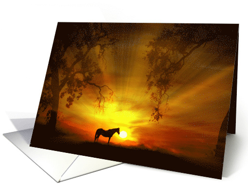 Horse Happy Birthday, Beautiful Day, Horse Bday, Pretty... (1529536)