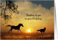 Happy Birthday From Across the Miles, Horse and Dog, Thinking of You card