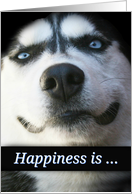 Cute Friendship, Siberian Husky Dog Friendship, Happiness Friendship card