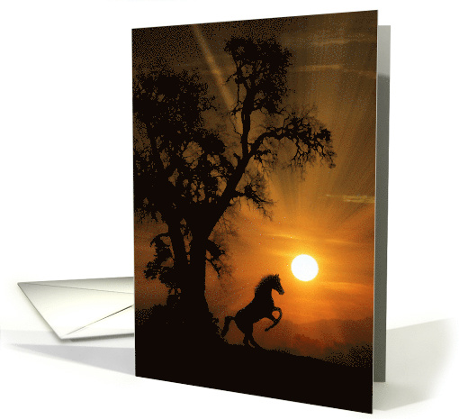 Blank Horse Rearing in the Sunrise, Pretty Horse Note card (1536156)