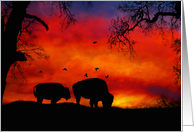 Buffalo Sunset Blank Native American Note Card, Bison card