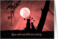 Cute Thinking of You Cat and Dog and Stars card