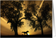 Blank Beautiful Horse Running in Sunrise with Oak Trees card