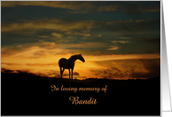 Horse Sympathy, In Loving Memory, Custom Horse Name Condolences card