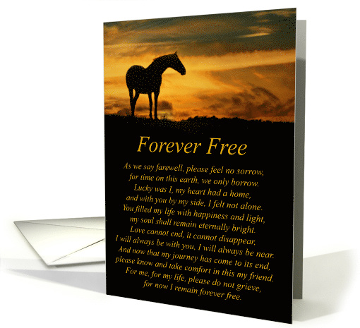 Spiritual Sympathy Card, Forever Free, Horse in Sunset... (1540864)