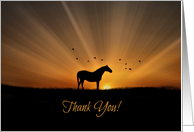 Horse Thank You, You made My Day card