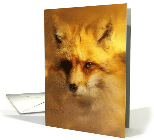 Beautiful Fox, Happy Birthday Foxy card (1544934)