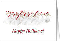 Cute and Funny Happy Holidays With White Pelicans in Santa Hats card