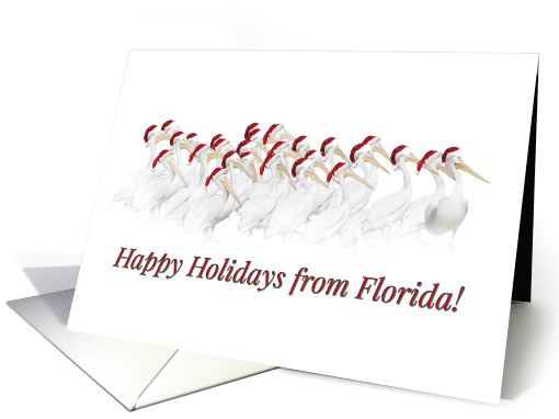 Cute White Pelican Happy Holidays From Florida, Florida Christmas card