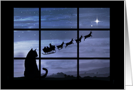 Cute Cat and Santa Christmas Happy Holidays card