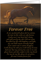 Spiritual Sympathy with Horse and Original Poem, Metaphysical New Age card