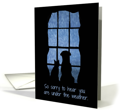 Cute Dog and Cat in the Window with Rain Get Well card (1554974)
