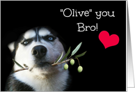 Cute Husky and Olive Branch I Love You Bro Valentine’s Day card