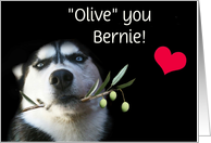 Cute Husky & Olive Branch I Love You Personalized Name Valentine’s Day card