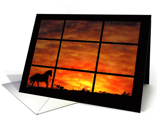 Horse Fine Art Any Occasion Blank, Horse and Sunset,... (1558638)