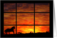 Horse Fine Art Any Occasion Blank, Horse and Sunset, Running Horse card