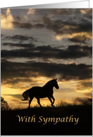 Horse and Sunset With Sympathy, Heartfelt Condolences, Nature Sympathy card