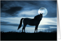 Horse and Moon Surreal Photography Fantasy Blue Sky Horse Blank Note card