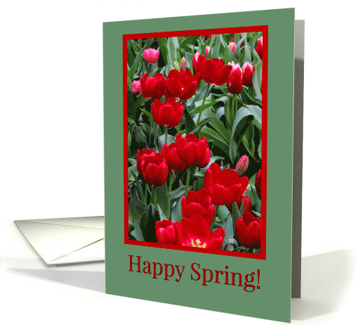 Happy Spring Beautiful Red an Pink Tulips Flowers card (1561560)