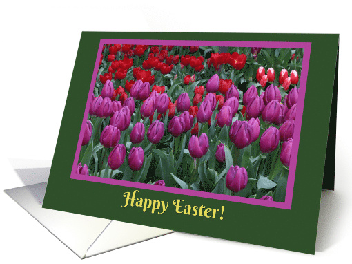 Happy Easter Spring Tulip Flowers of Red, Yellow and Purple card