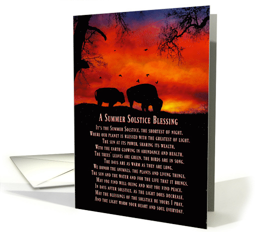 Native American Buffalo Pagan Summer Solstice Litha Blessings card